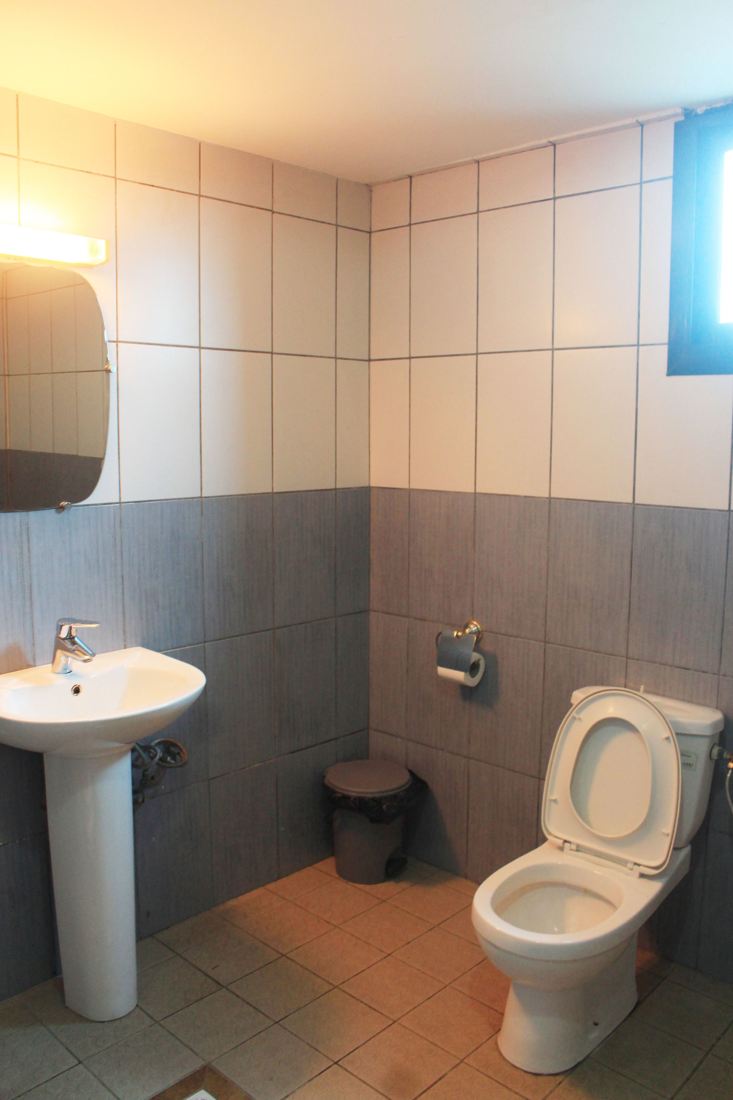 Een badkamer met een wastafel, toilet en prullenbak.