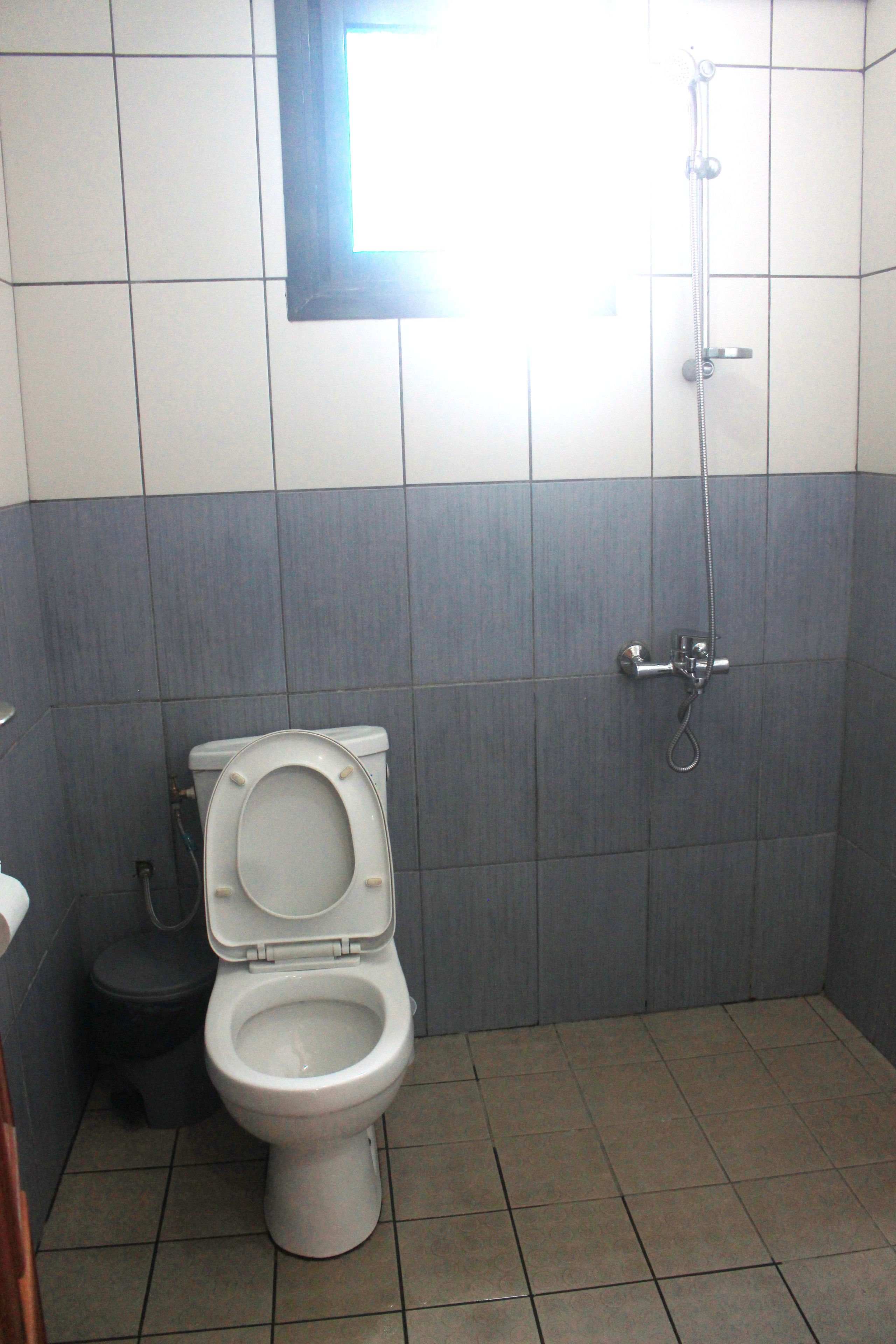 A bathroom with a toilet, a shower, and a window.