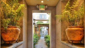 A narrow hallway with large potted plants on either side, leading to an exit.