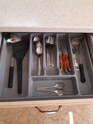 Fridge, oven, stovetop, electric kettle