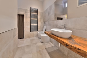 Shower, hair dryer, bidet, towels