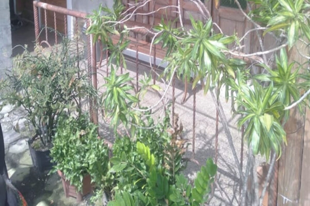 A covered outdoor area with potted plants and a wooden structure.