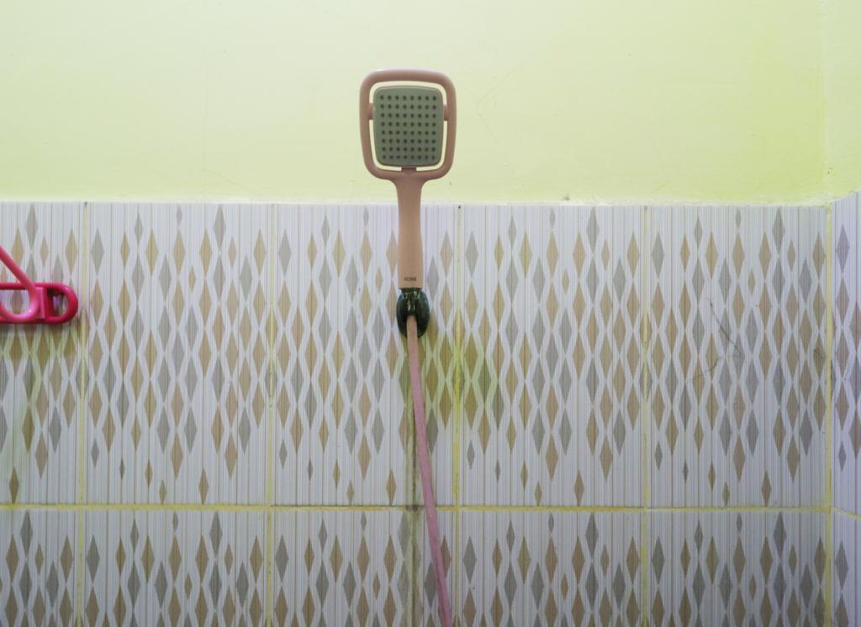 A bathroom with a patterned wall, a shower head, and a pink object on the wall.