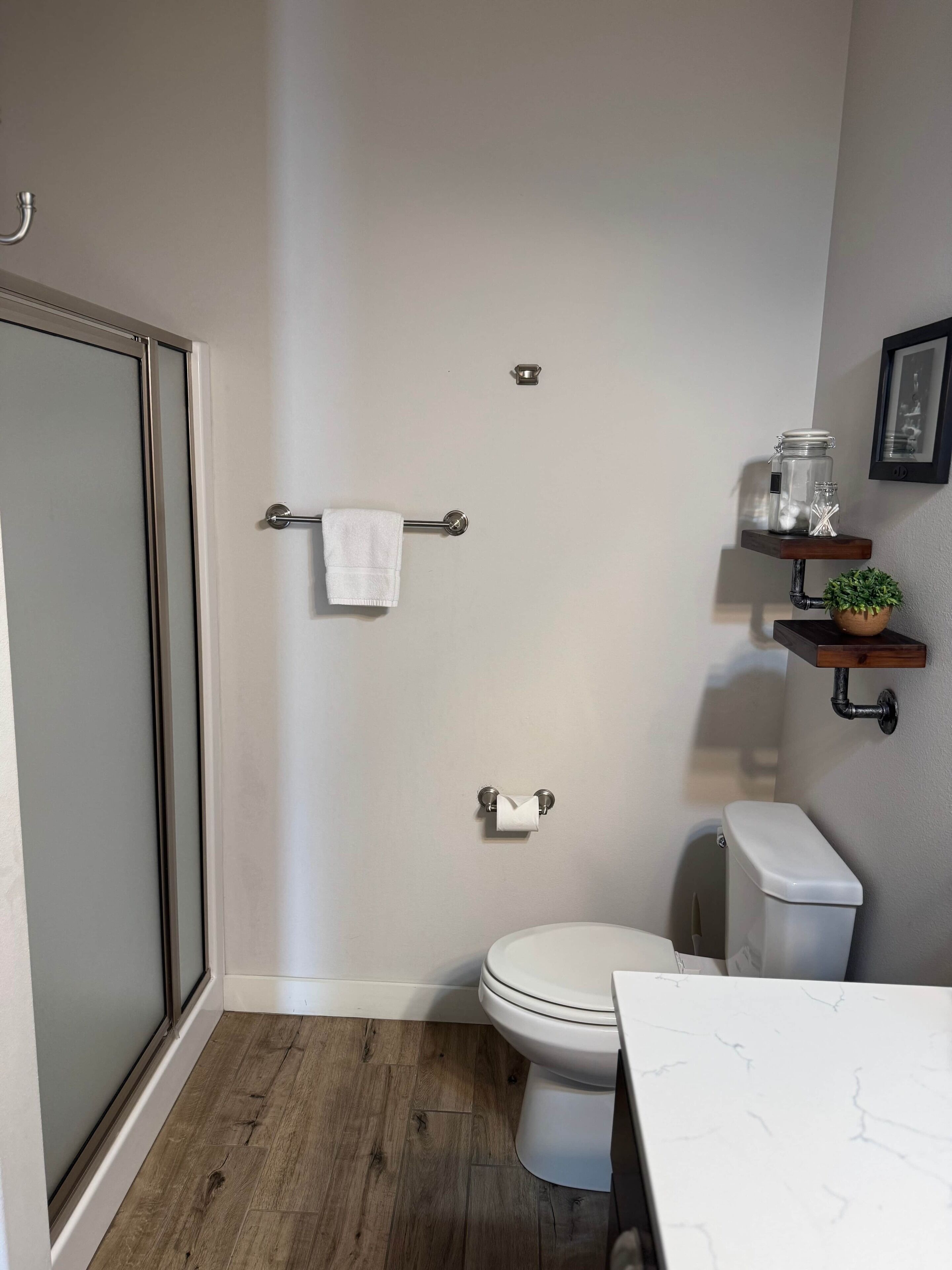 Un baño con inodoro, un perchero, una estantería con una planta y un cuadro en la pared.