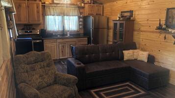 TV, DVD player, video library