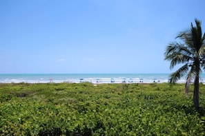 Condo | Beach | On the beach