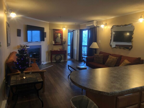 TV, fireplace, DVD player - Winterplace Condo E202 (Ghent)