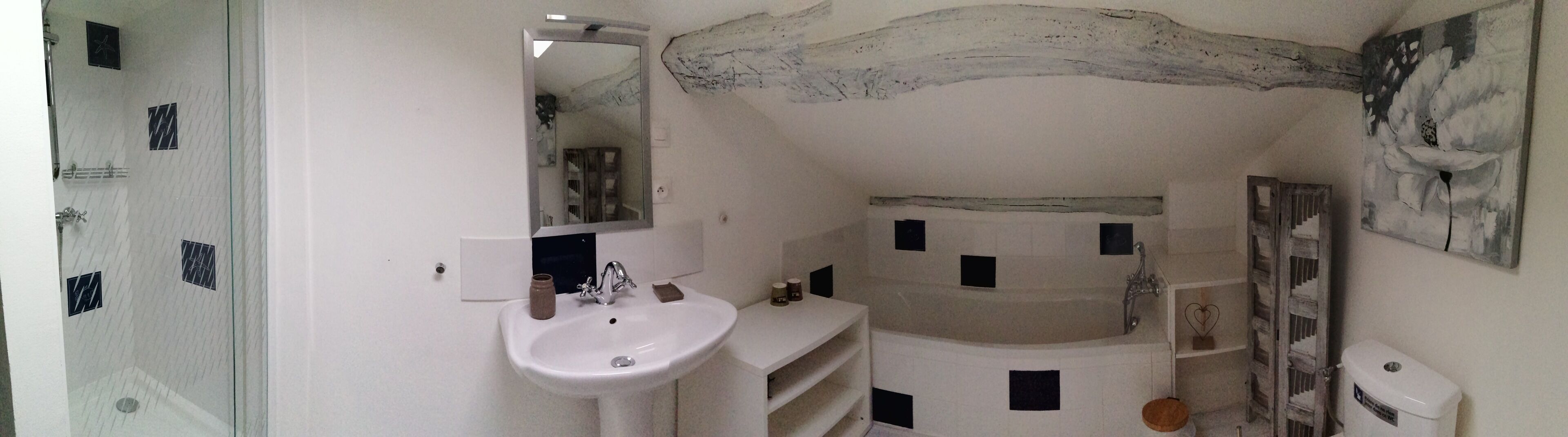 Hair dryer, towels, toilet paper