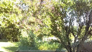 Deux verres contenant une boisson à plusieurs couches, décorée de brochettes de fruits, posés sur une surface en bois, avec une vue sur un jardin en arrière-plan.