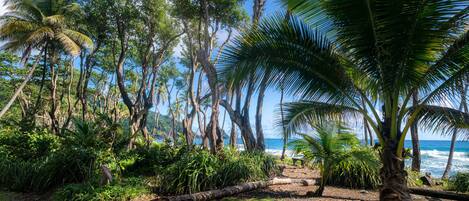 Un paisaje tropical con palmeras, una playa y olas del océano.