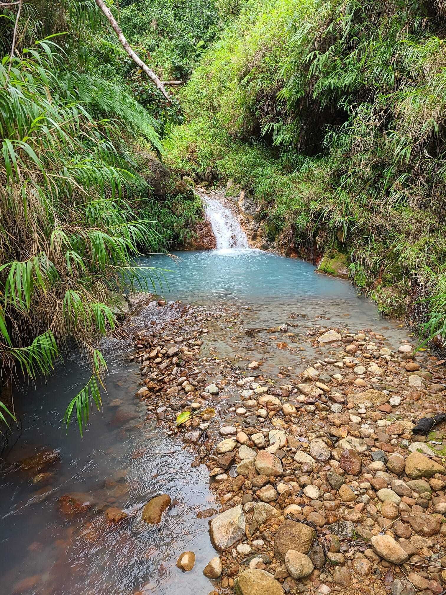 A natural stream with a waterfall surrounded by dense greenery.