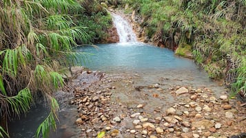 A natural stream with a waterfall surrounded by dense greenery.