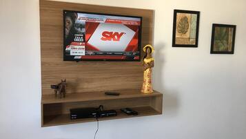 Television