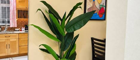 A potted plant in a white pot, a framed artwork on the wall, and a kitchen area with wooden cabinets and a countertop.
