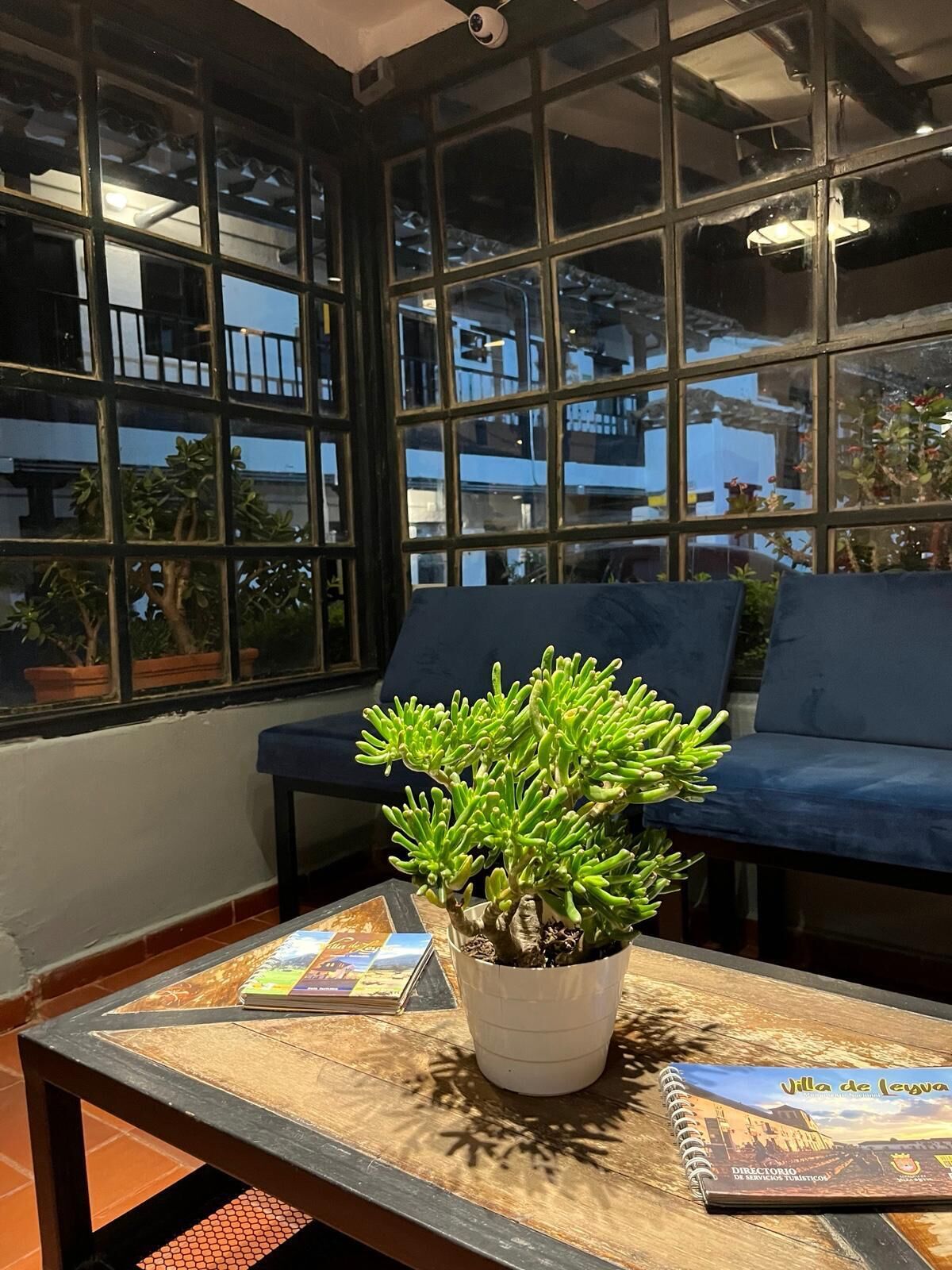 Una habitación con un ventanal grande, una planta en maceta, un sofá azul y una mesa con un libro y un folleto.