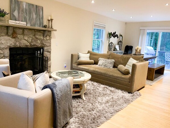 TV, fireplace, books, music library
