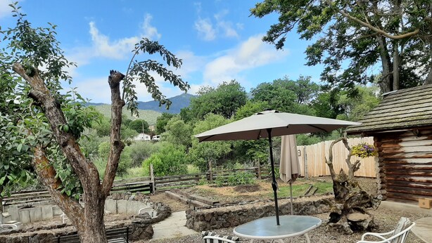 An outdoor patio with a table and chairs, surrounded by trees and a wooden fence.