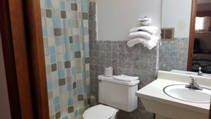 Un baño con ducha azulejada, inodoro y lavabo con espejo.