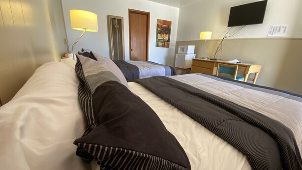 Habitación de hotel con dos camas, un escritorio con silla, televisor de pantalla plana y microondas.