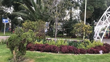 Vista a la ciudad