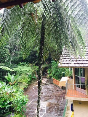 A lush garden with a central palm tree, a brick pathway, and a building with a tiled roof. - Gato de Botas Flats & Suites (Nova Friburgo)