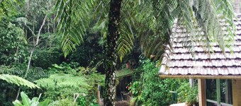 Gato de Botas Flats & Suites