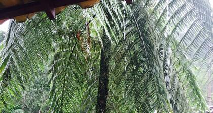 Gato de Botas Flats & Suites