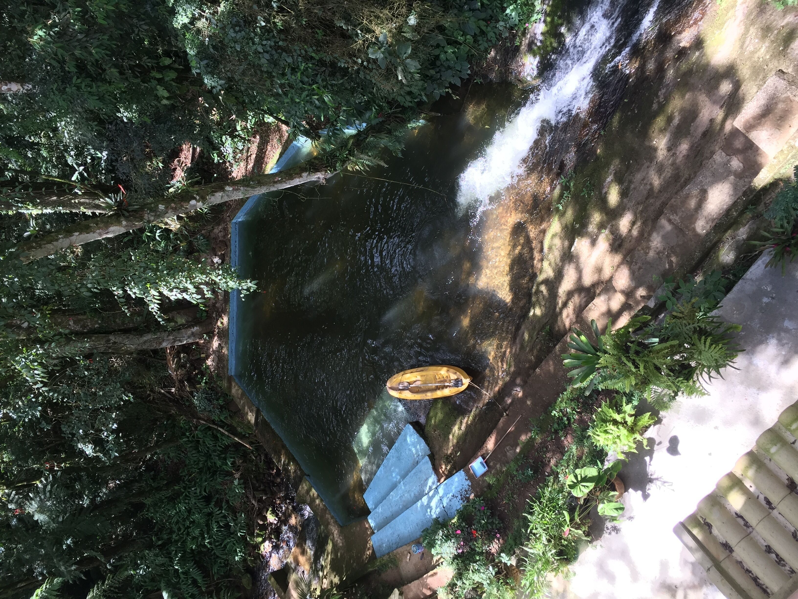 Um pequeno lago com um barco de madeira, rodeado por vegetação densa e um caminho de pedra.