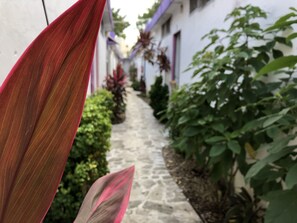 Fachada