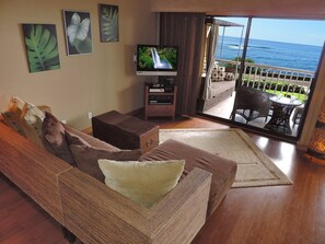 Televisión, reproductor de DVD, libros y biblioteca musical