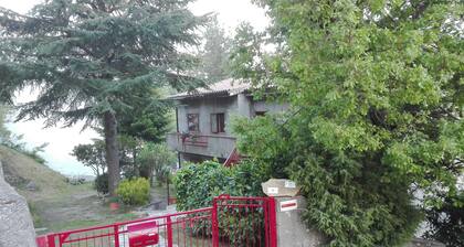 Ferienhaus Garten