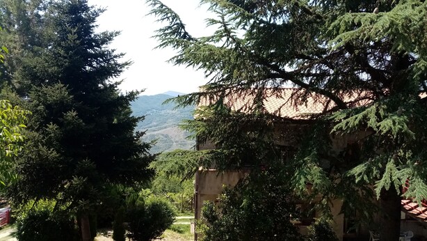 Un cortile alberato, un edificio con tetto rosso e vista su montagne lontane.