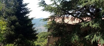 Garden Holiday House