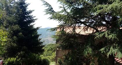 Garden Holiday House