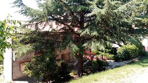 Un grande albero sempreverde davanti a un edificio con una porta rossa e un vialetto in pietra che conduce a una zona con panchine.