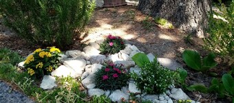 Garden Holiday House