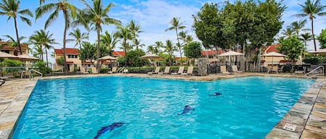 Condo, Multiple Beds (Keauhou Kona Surf & Racquet Club#6-10) | Pool