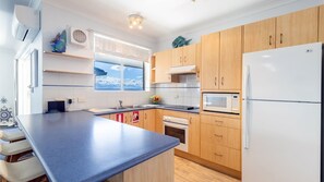 Full-sized fridge, microwave, oven, stovetop