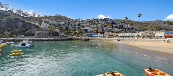 718CR: Views, Views, Views! Magnificent Avalon Home on Front Street