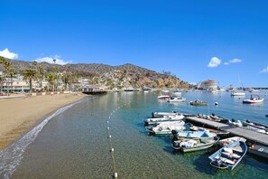 Marina - 718CR: Views, Views, Views! Magnificent Avalon Home on Front Street (Avalon)