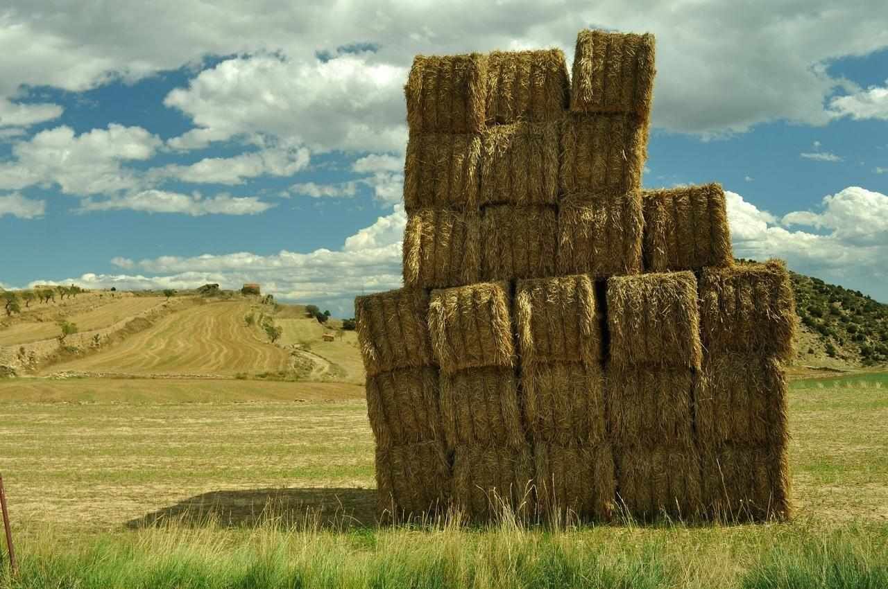 A stack of hay bales in a rural field with rolling hills in the background.