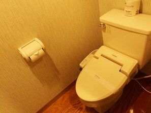 Combined shower/bathtub, slippers, towels