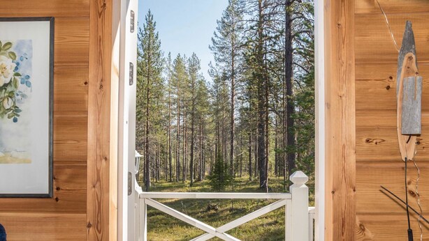 A wooden deck with a white railing, leading to a forested area.