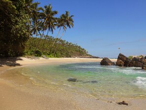 Une plage à l’eau turquoise et limpide, bordée de palmiers et d’une formation rocheuse.