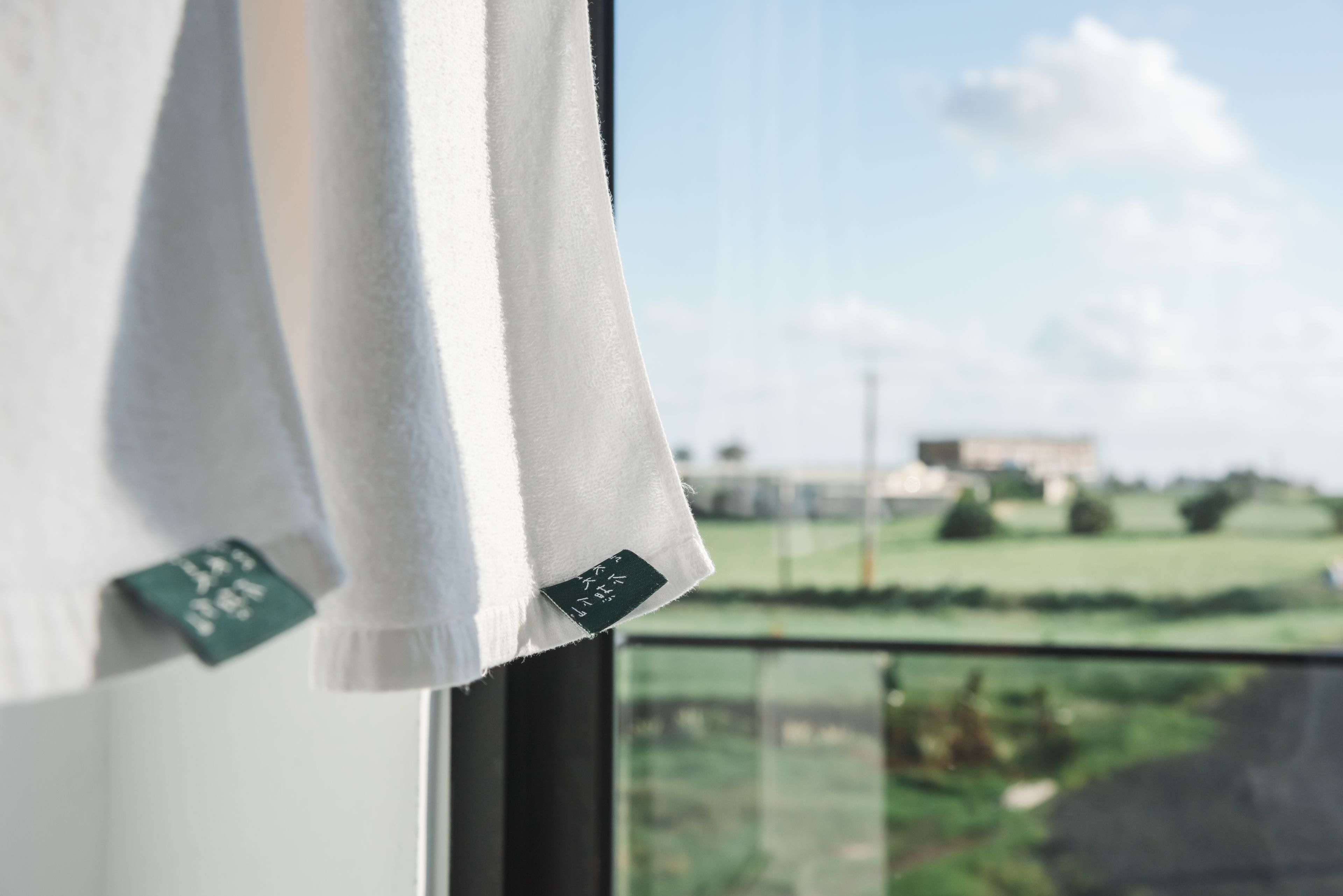 Una ventana con vistas a un paisaje verde y un edificio a lo lejos.