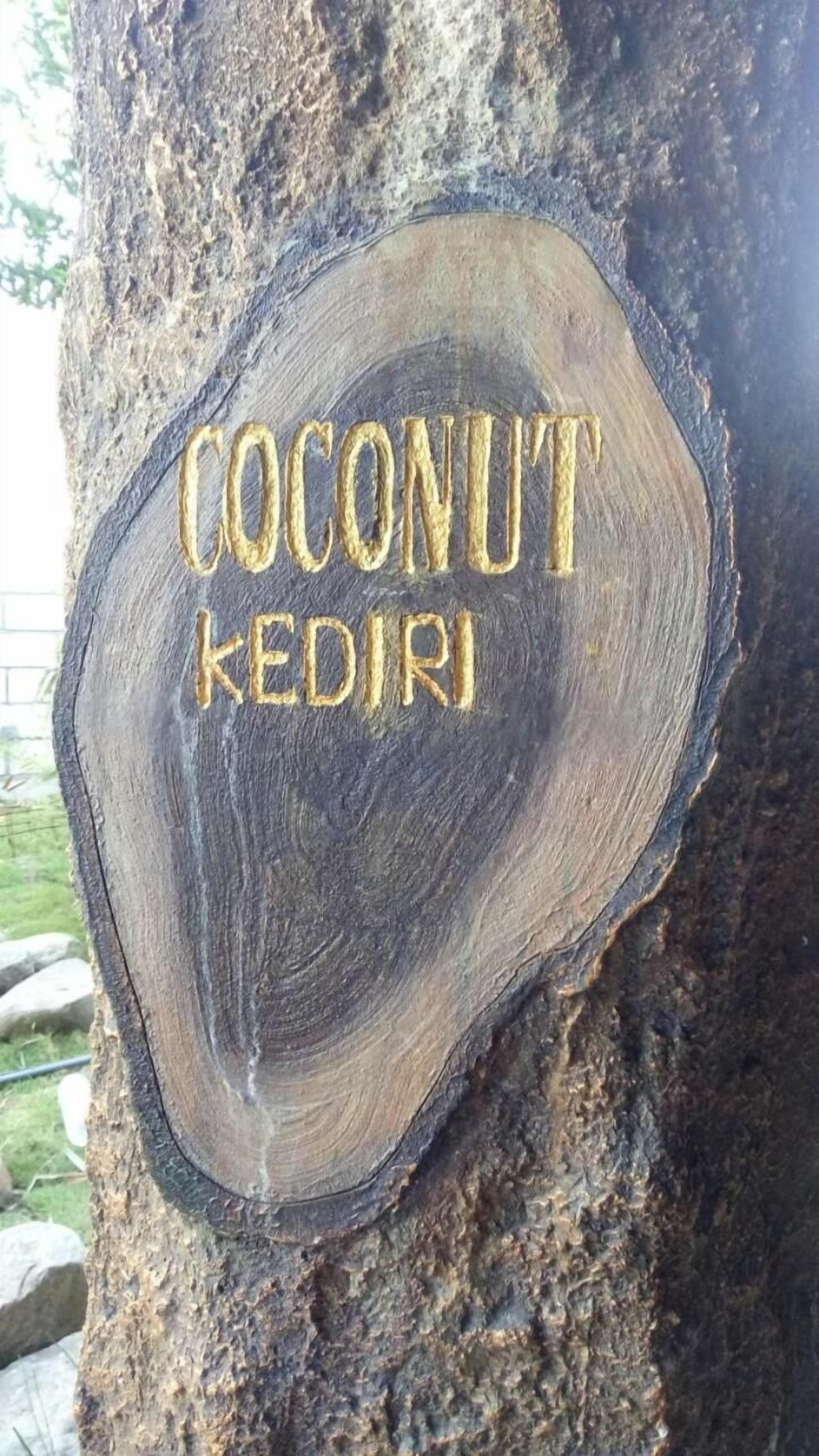 A wooden plaque with the text "COCONUT KEDIRI" on a tree trunk.