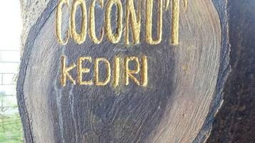 A tree with a circular cut-out and the words 'Coconut Kediri' engraved on it.
