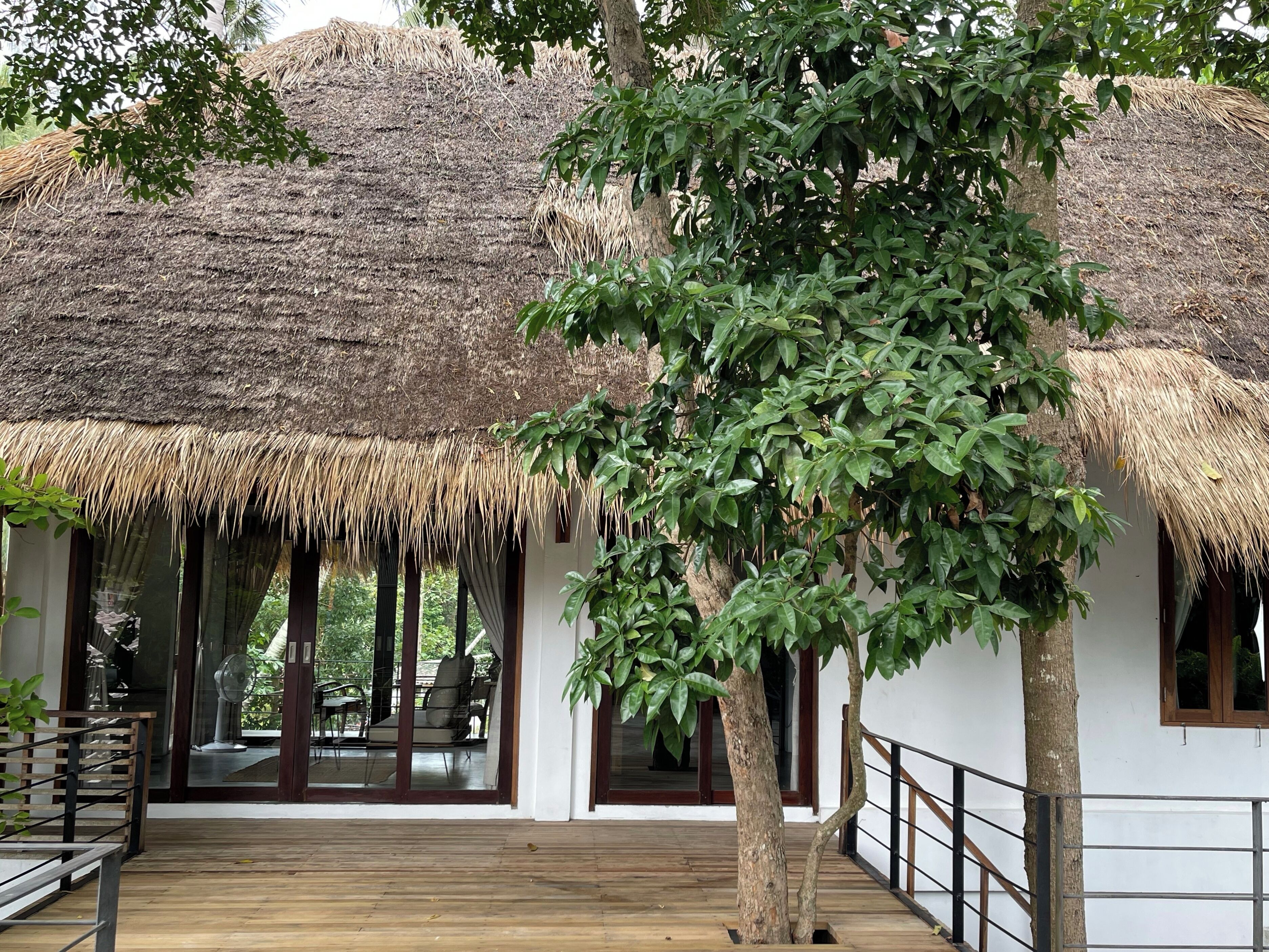 Foto - Big Tree Boutique Hotel