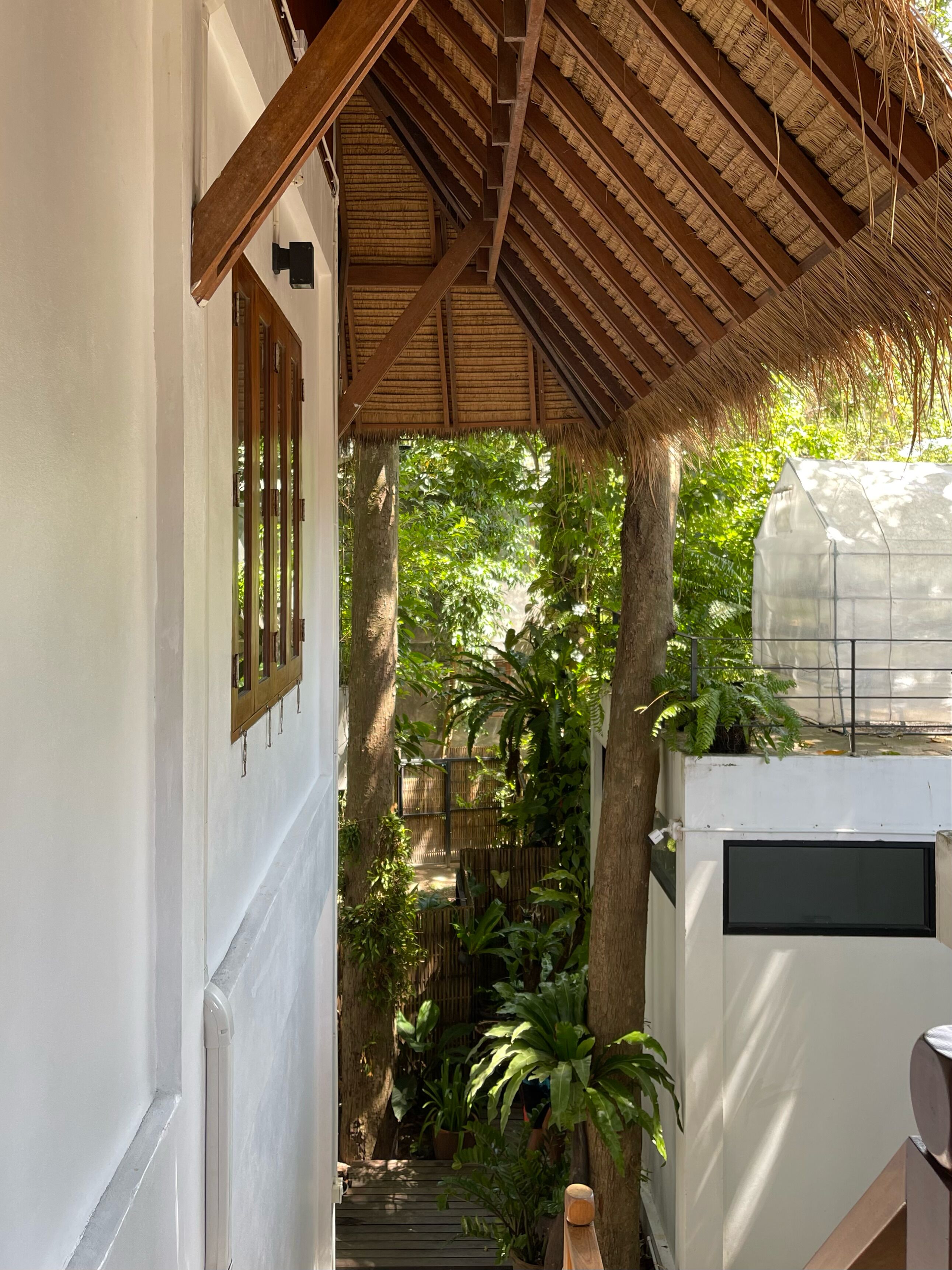 Foto - Big Tree Boutique Hotel