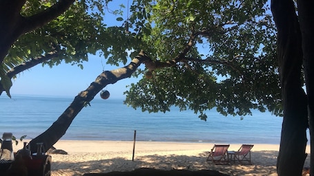 En la playa, sombrillas, masajes en la playa, vóleibol de playa